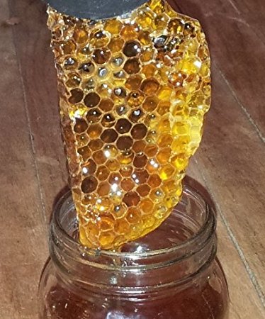 nature bees april food honey dra martha a castro noriega tijuana mexico california usa